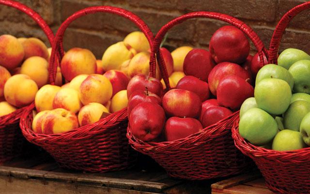 Baskets of apples